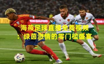 海燕足球直播免费视频:绿茵激情的零门槛盛宴
